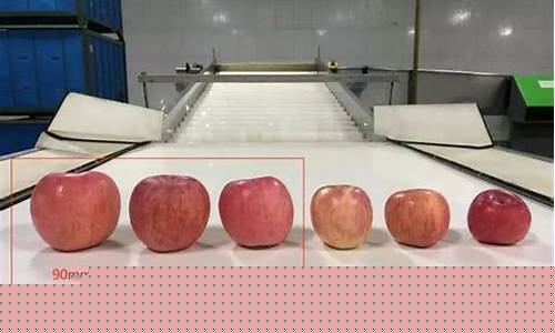 期货苹果交割标准(期货苹果交割标准最新)_https://www.jyywjc.com_科创板_第1张