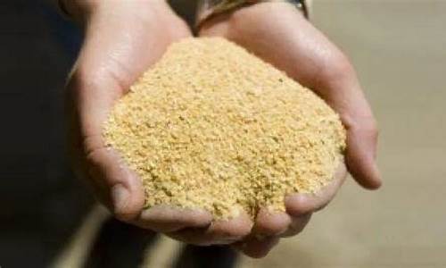 豆粕期货一手多少钱(豆粕期货一手多少钱手续费)_https://www.jyywjc.com_北交所_第1张