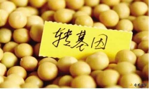 什么是大豆期货(大豆期货是什么意思)_https://www.jyywjc.com_创业板_第1张