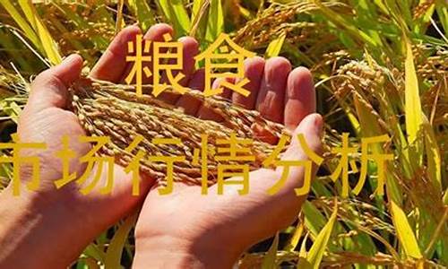现在入手粮食期货行情好吗(粮食期货什么意思)_https://www.jyywjc.com_股票板块_第1张