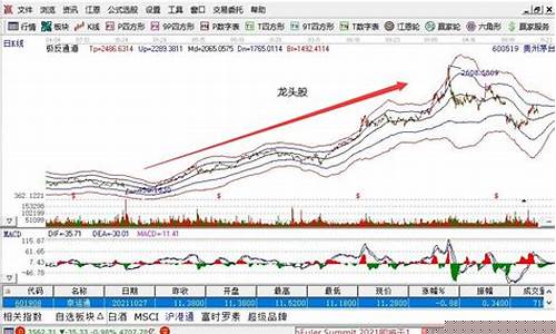 怎样判断是不是龙头股(怎样判断是不是胃疼)_https://www.jyywjc.com_股票_第1张