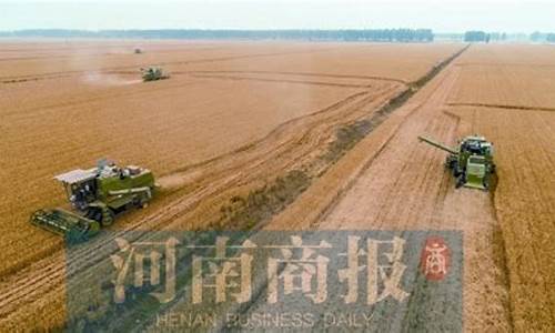 粮食期货直播(粮食期货最新价格走势图)_https://www.jyywjc.com_科创板_第1张