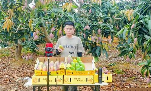 芒果直播期货(芒果v直播 是什么)_https://www.jyywjc.com_上交所_第1张