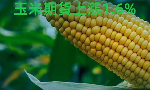 玉米期货交易直播平台下载(玉米期货交易)_https://www.jyywjc.com_创业板_第1张