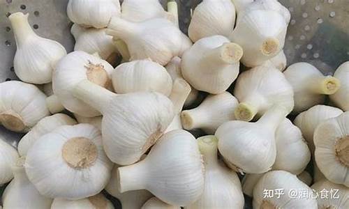 大蒜以前有期货吗视频直播(大蒜以前有期货吗视频直播是真的吗)_https://www.jyywjc.com_科创板_第1张
