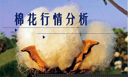 棉花期货在线直播(棉花期货app)_https://www.jyywjc.com_股票趋势_第1张