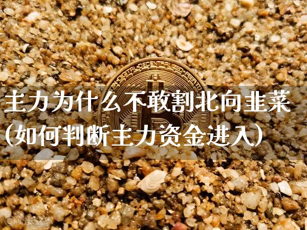 主力为什么不敢割北向韭菜(如何判断主力资金进入)_https://www.jyywjc.com_股票_第1张