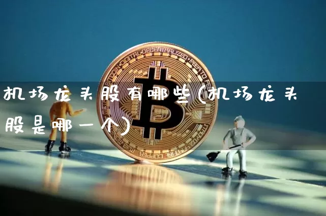 机场龙头股有哪些(机场龙头股是哪一个)_https://www.jyywjc.com_股票板块_第1张
