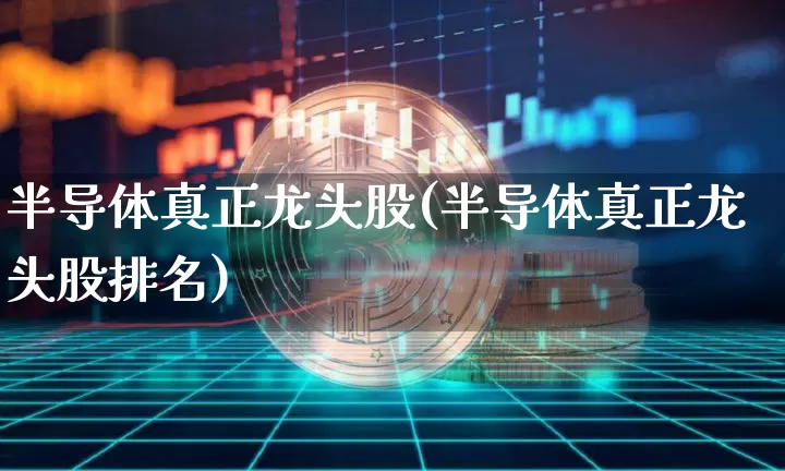 半导体真正龙头股(半导体真正龙头股排名)_https://www.jyywjc.com_股票行情_第1张