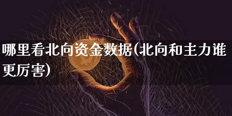 哪里看北向资金数据(北向和主力谁更厉害)_https://www.jyywjc.com_股票趋势_第1张