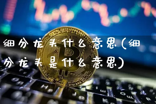 细分龙头什么意思(细分龙头是什么意思)_https://www.jyywjc.com_股票行情_第1张