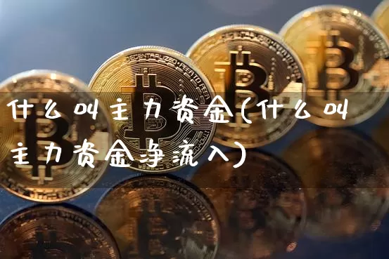 什么叫主力资金(什么叫主力资金净流入)_https://www.jyywjc.com_股票板块_第1张