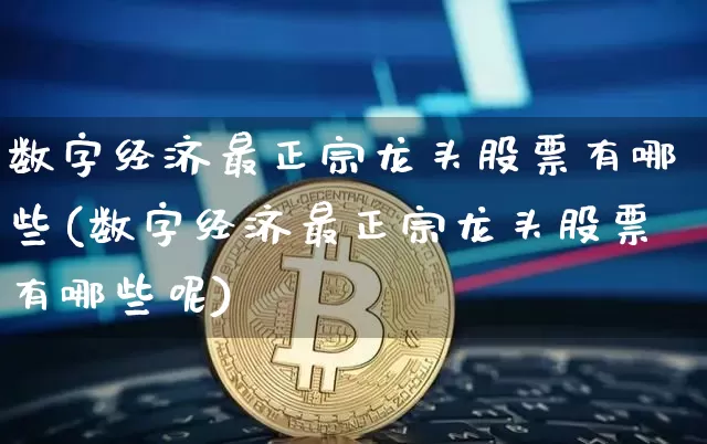 数字经济最正宗龙头股票有哪些(数字经济最正宗龙头股票有哪些呢)_https://www.jyywjc.com_股票板块_第1张