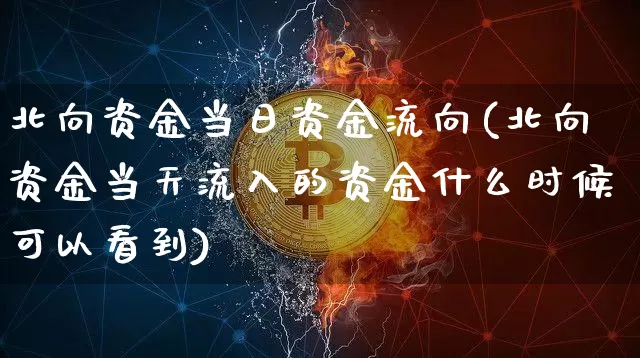 北向资金当日资金流向(北向资金当天流入的资金什么时候可以看到)_https://www.jyywjc.com_股票价格_第1张