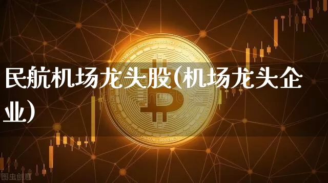 民航机场龙头股(机场龙头企业)_https://www.jyywjc.com_股票板块_第1张