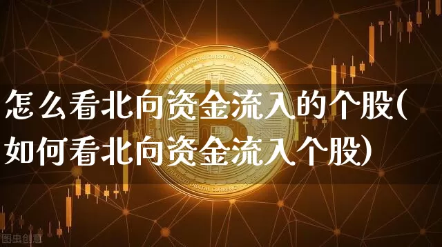 怎么看北向资金流入的个股(如何看北向资金流入个股)_https://www.jyywjc.com_股票板块_第1张