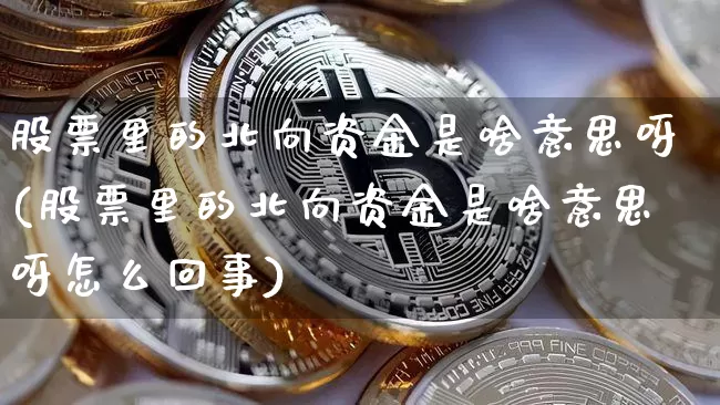 股票里的北向资金是啥意思呀(股票里的北向资金是啥意思呀怎么回事)_https://www.jyywjc.com_股票趋势_第1张