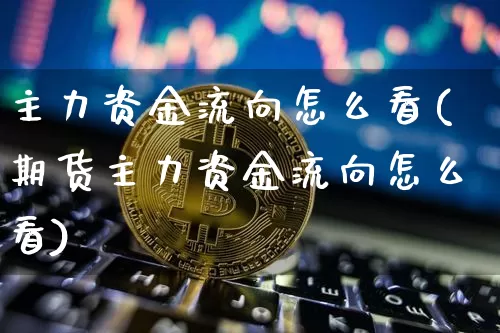 主力资金流向怎么看(期货主力资金流向怎么看)_https://www.jyywjc.com_股票趋势_第1张