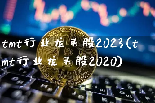 tmt行业龙头股2023(tmt行业龙头股2020)_https://www.jyywjc.com_股票板块_第1张