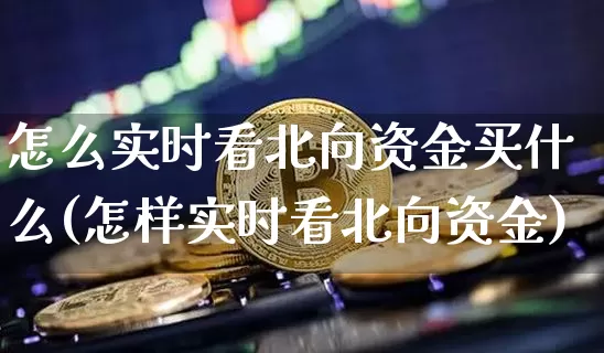 怎么实时看北向资金买什么(怎样实时看北向资金)_https://www.jyywjc.com_股票_第1张