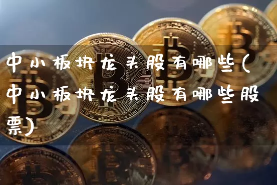 中小板块龙头股有哪些(中小板块龙头股有哪些股票)_https://www.jyywjc.com_北交所_第1张