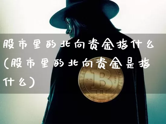 股市里的北向资金指什么(股市里的北向资金是指什么)_https://www.jyywjc.com_股票价格_第1张