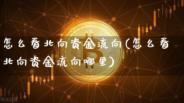 怎么看北向资金流向(怎么看北向资金流向哪里)_https://www.jyywjc.com_股票_第1张