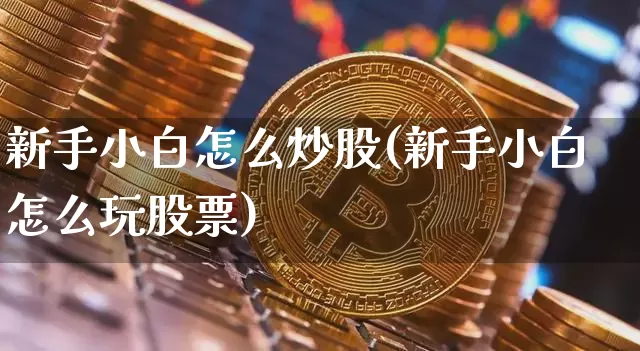 新手小白怎么炒股(新手小白怎么玩股票)_https://www.jyywjc.com_股票价格_第1张