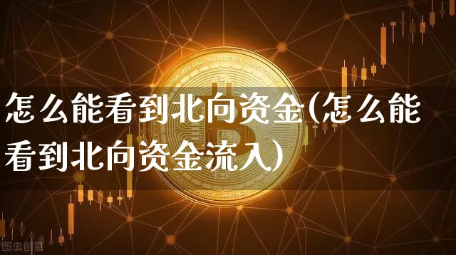 怎么能看到北向资金(怎么能看到北向资金流入)_https://www.jyywjc.com_股票价格_第1张