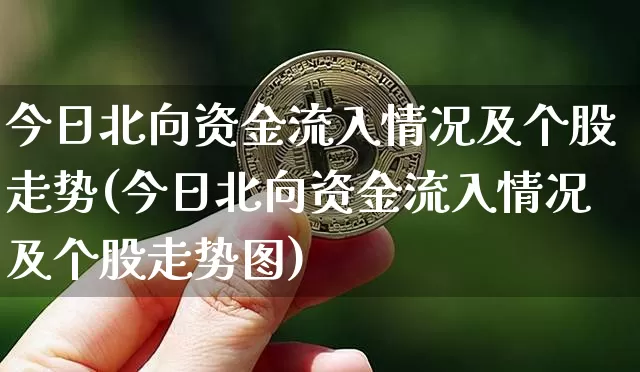 今日北向资金流入情况及个股走势(今日北向资金流入情况及个股走势图)_https://www.jyywjc.com_股票行情_第1张