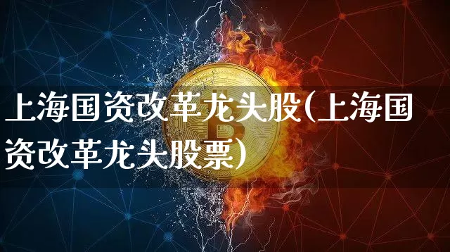 上海国资改革龙头股(上海国资改革龙头股票)_https://www.jyywjc.com_股票价格_第1张