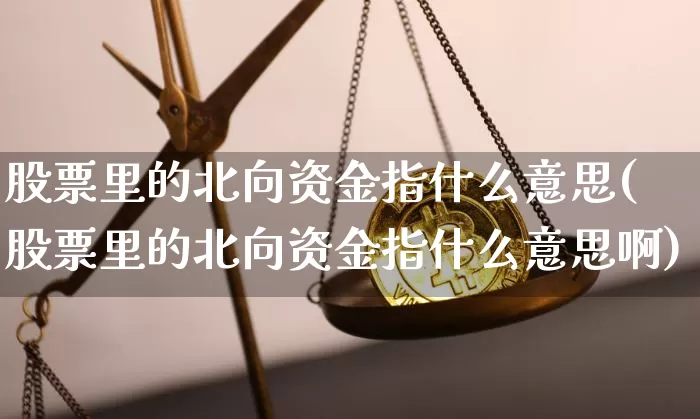 股票里的北向资金指什么意思(股票里的北向资金指什么意思啊)_https://www.jyywjc.com_股票价格_第1张