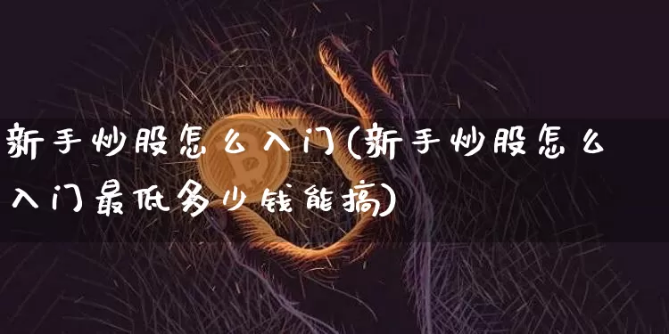 新手炒股怎么入门(新手炒股怎么入门最低多少钱能搞)_https://www.jyywjc.com_股票价格_第1张
