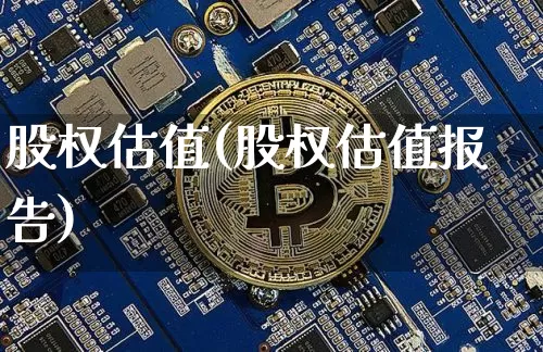 股权估值(股权估值报告)_https://www.jyywjc.com_上交所_第1张
