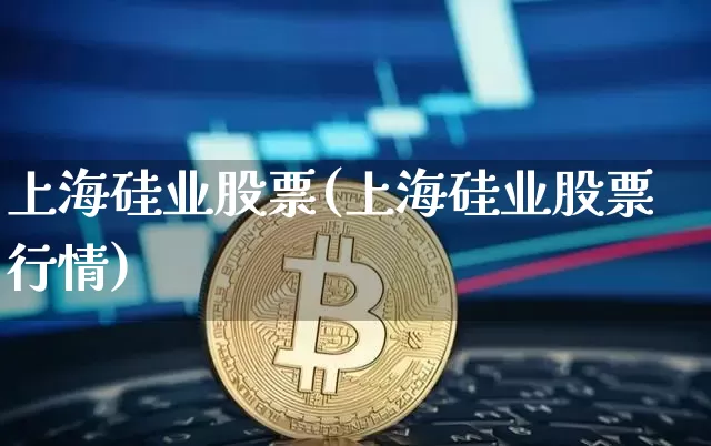 上海硅业股票(上海硅业股票行情)_https://www.jyywjc.com_股票板块_第1张