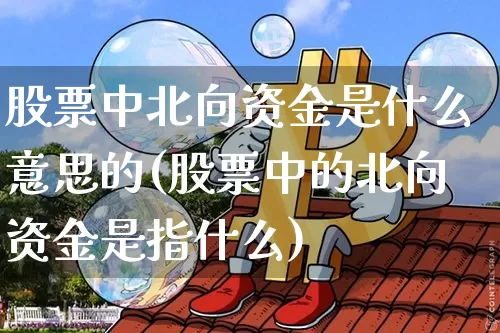 股票中北向资金是什么意思的(股票中的北向资金是指什么)_https://www.jyywjc.com_股票行情_第1张