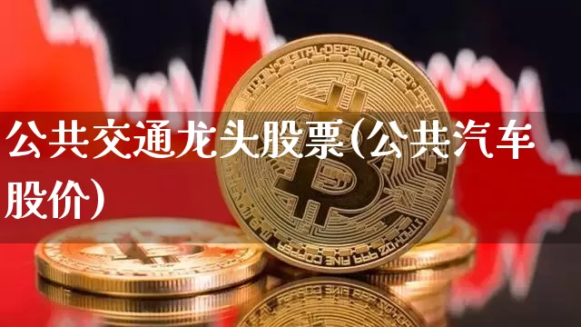 公共交通龙头股票(公共汽车股价)_https://www.jyywjc.com_股票行情_第1张
