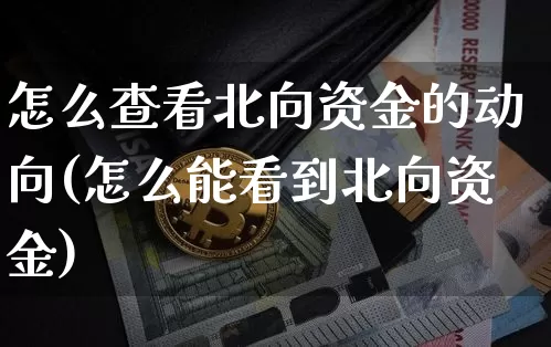 怎么查看北向资金的动向(怎么能看到北向资金)_https://www.jyywjc.com_股票趋势_第1张