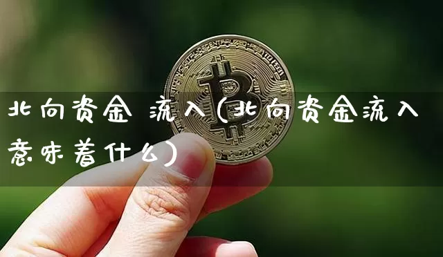 北向资金 流入(北向资金流入意味着什么)_https://www.jyywjc.com_股票_第1张