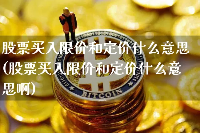 股票买入限价和定价什么意思(股票买入限价和定价什么意思啊)_https://www.jyywjc.com_科创板_第1张