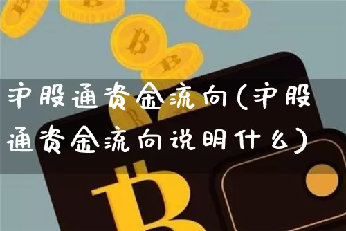 沪股通资金流向(沪股通资金流向说明什么)_https://www.jyywjc.com_股票_第1张