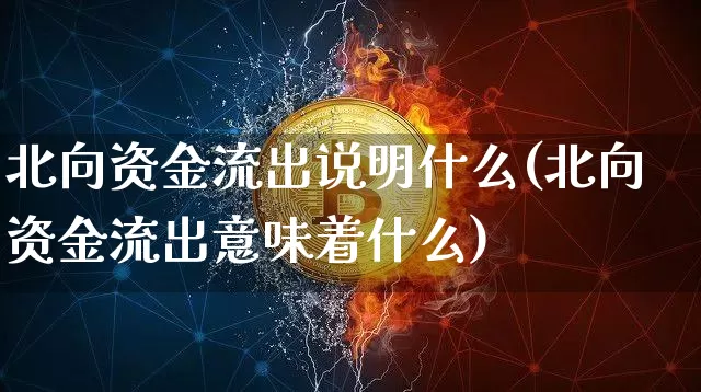 北向资金流出说明什么(北向资金流出意味着什么)_https://www.jyywjc.com_股票趋势_第1张