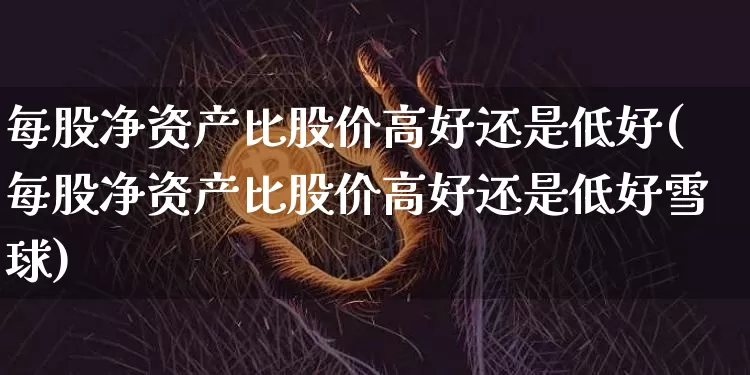 每股净资产比股价高好还是低好(每股净资产比股价高好还是低好雪球)_https://www.jyywjc.com_上交所_第1张