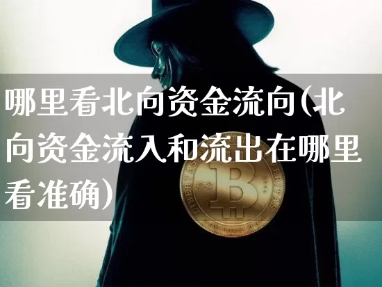 哪里看北向资金流向(北向资金流入和流出在哪里看准确)_https://www.jyywjc.com_股票板块_第1张