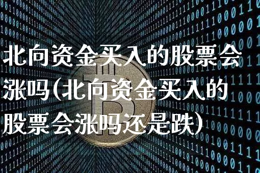 北向资金买入的股票会涨吗(北向资金买入的股票会涨吗还是跌)_https://www.jyywjc.com_股票趋势_第1张
