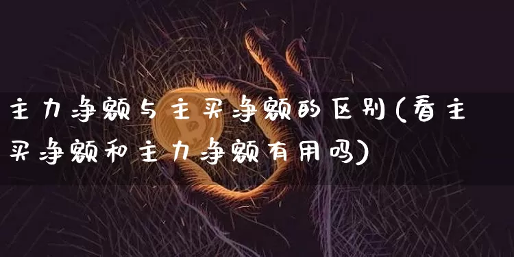 主力净额与主买净额的区别(看主买净额和主力净额有用吗)_https://www.jyywjc.com_股票行情_第1张