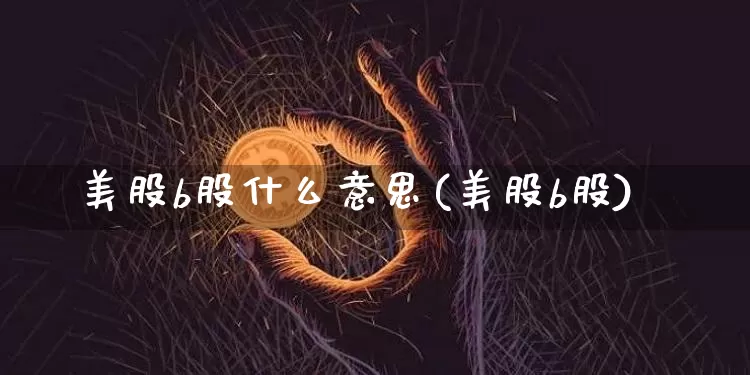 美股b股什么意思(美股b股)_https://www.jyywjc.com_深交所_第1张