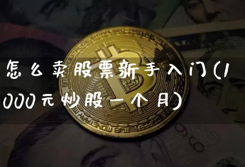 怎么卖股票新手入门(1000元炒股一个月)_https://www.jyywjc.com_深交所_第1张