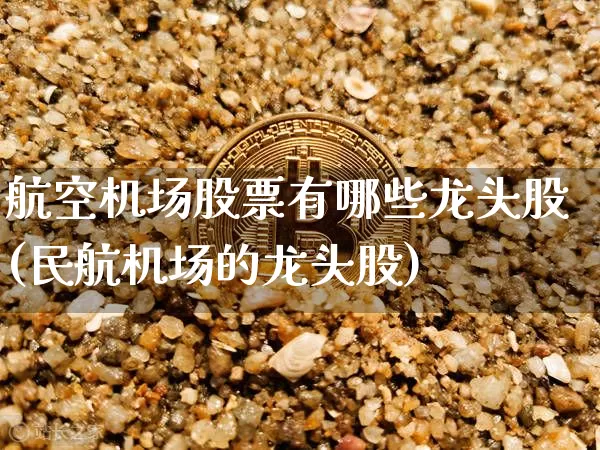 航空机场股票有哪些龙头股(民航机场的龙头股)_https://www.jyywjc.com_股票趋势_第1张