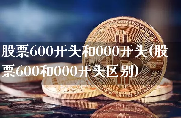 股票600开头和000开头(股票600和000开头区别)_https://www.jyywjc.com_股票板块_第1张